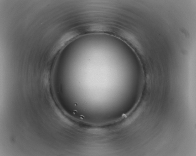 X0000114511033200910191128