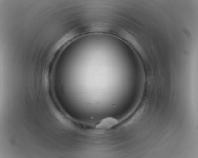 X0000114511034200910191128