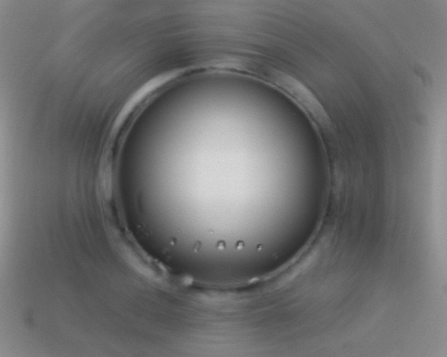 X0000114511036200910191128