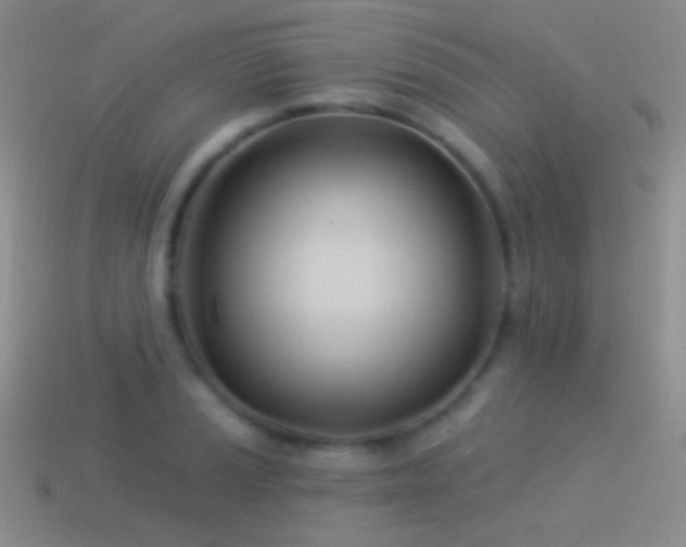 X0000114511037200910191128