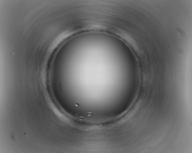 X0000114511038200910191128