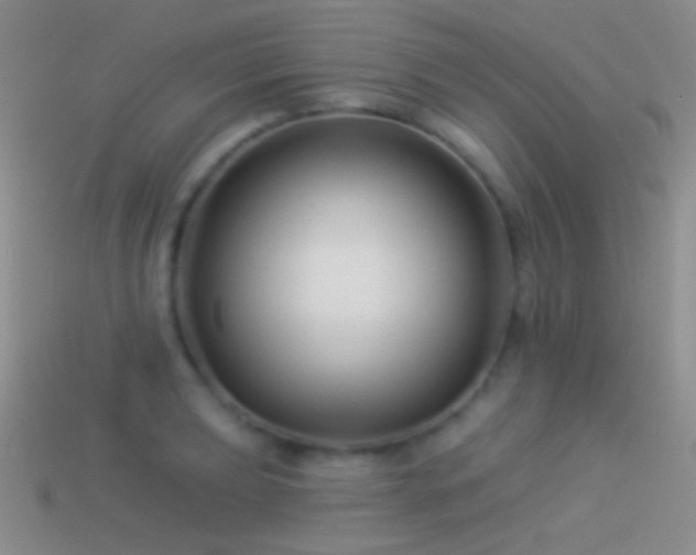 X0000114511039200910191128