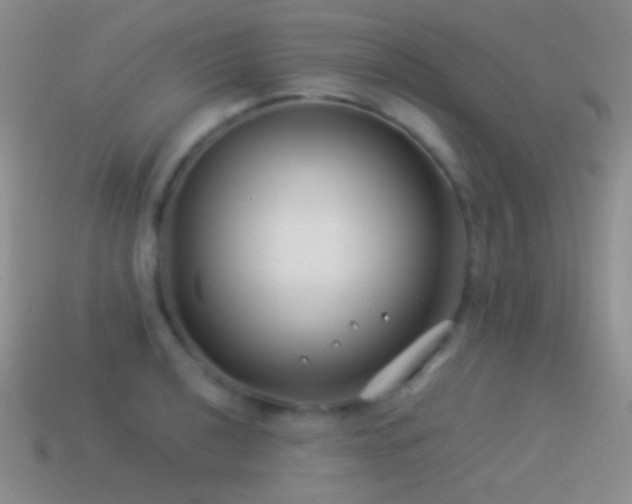 X0000114511040200910191128