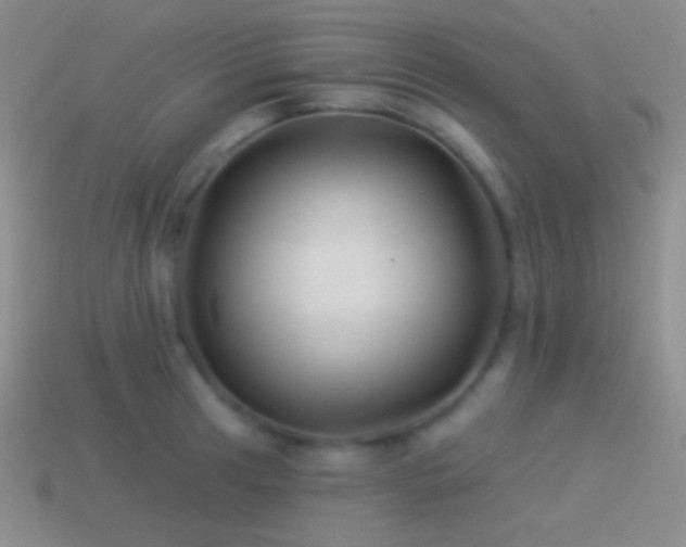 X0000114511041200910191128