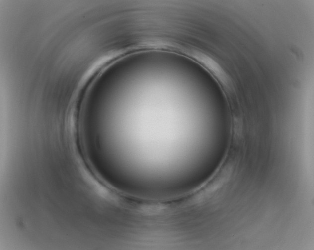 X0000114511046200910191128