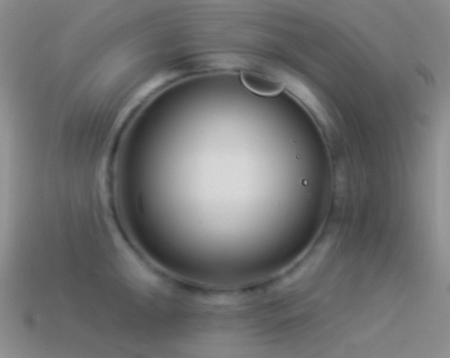 X0000114511047200910191128