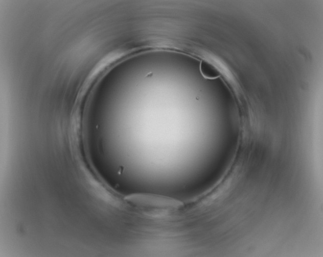X0000114511048200910191128