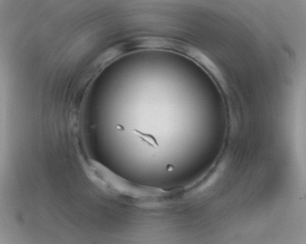 X0000114511049200910191128