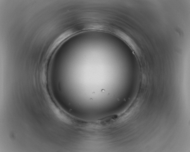 X0000114511050200910191128