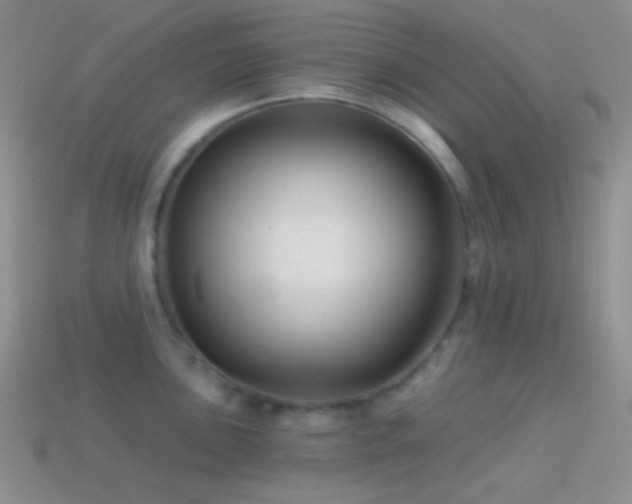 X0000114511051200910191128