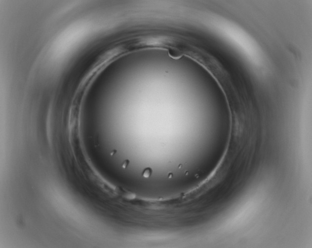 X0000114511052200910191128