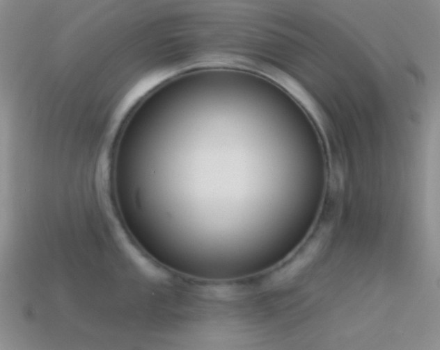 X0000114511053200910191128