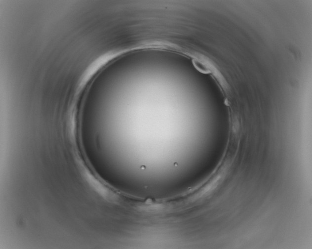 X0000114511054200910191128