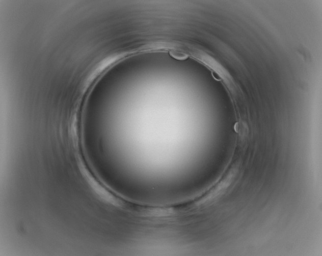 X0000114511055200910191128
