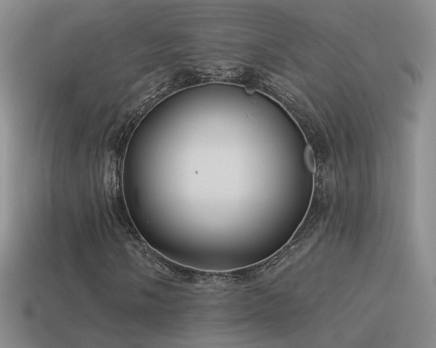 X0000114511058200910191128