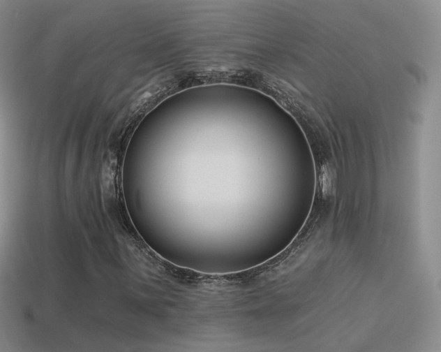 X0000114511059200910191128