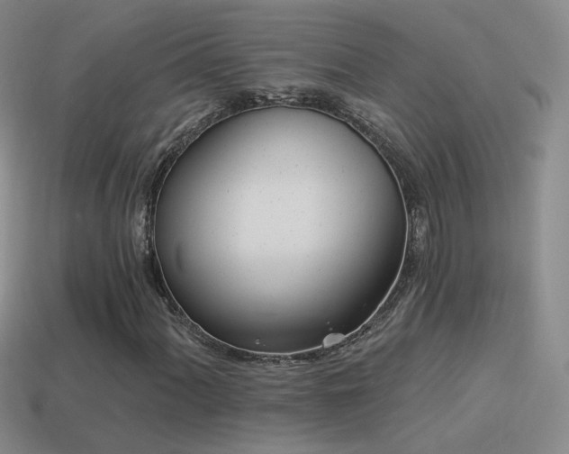 X0000114511060200910191128
