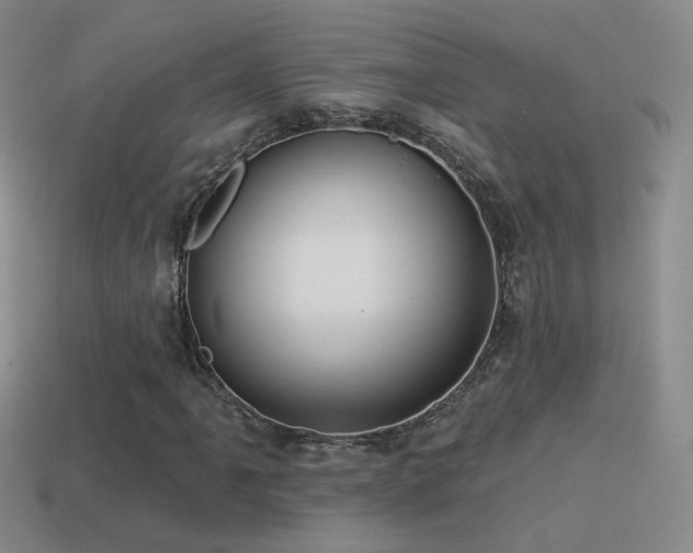 X0000114511061200910191128