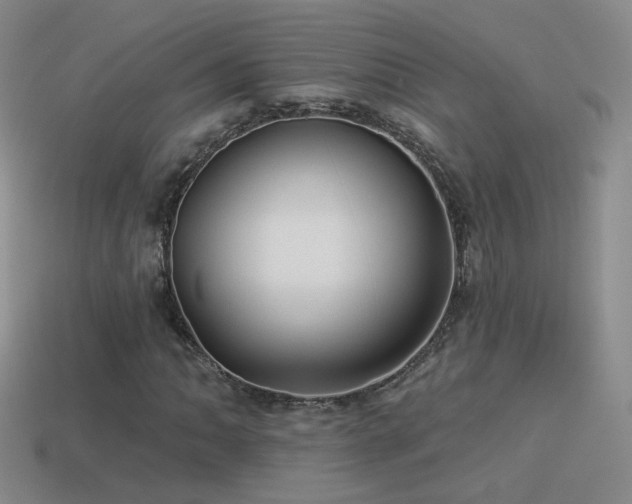 X0000114511062200910191128