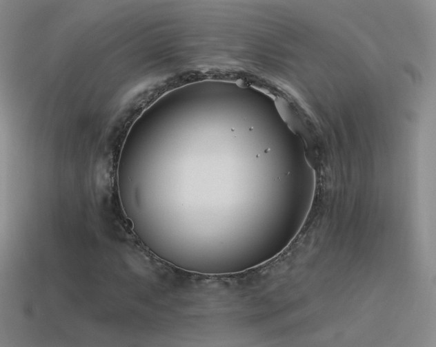X0000114511063200910191128