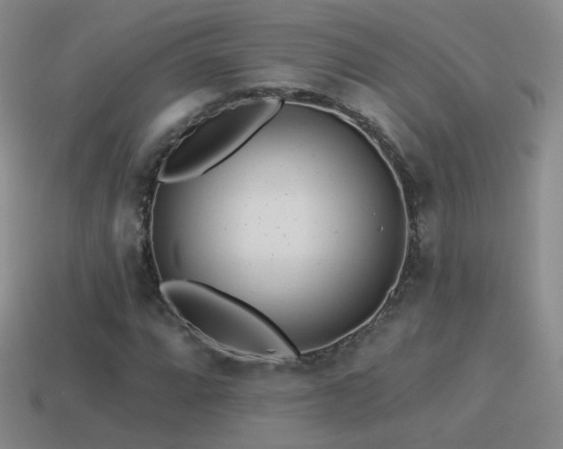X0000114511064200910191128