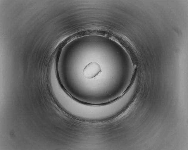 X0000114511065200910191128