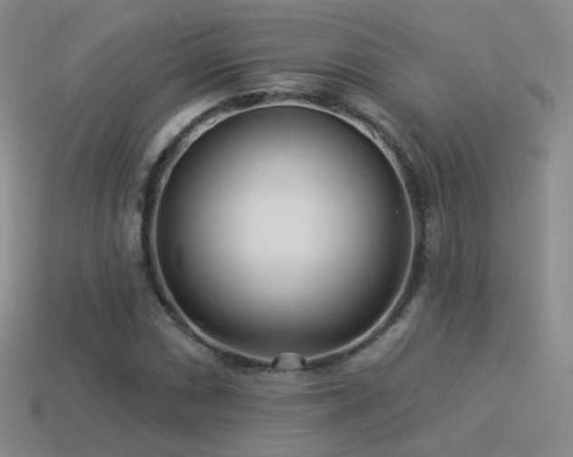X0000114511066200910191128