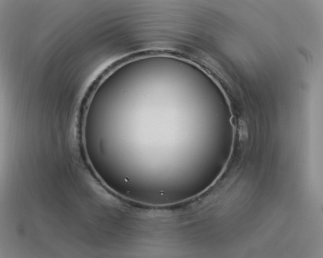 X0000114511068200910191128