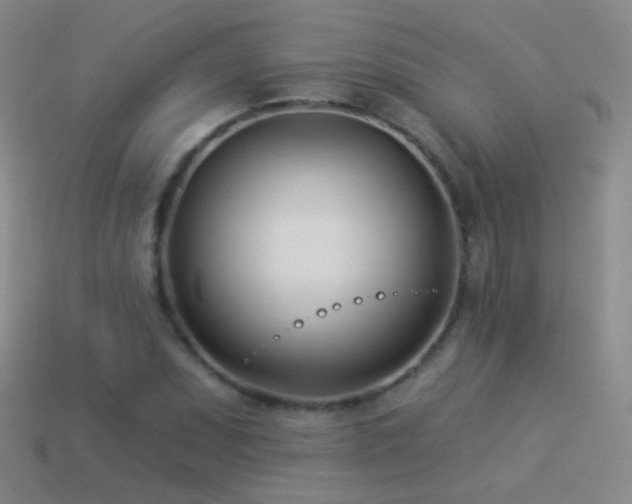 X0000114511071200910191128