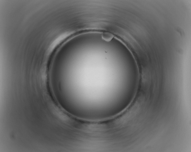 X0000114511077200910191128