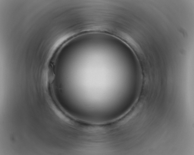 X0000114511079200910191128