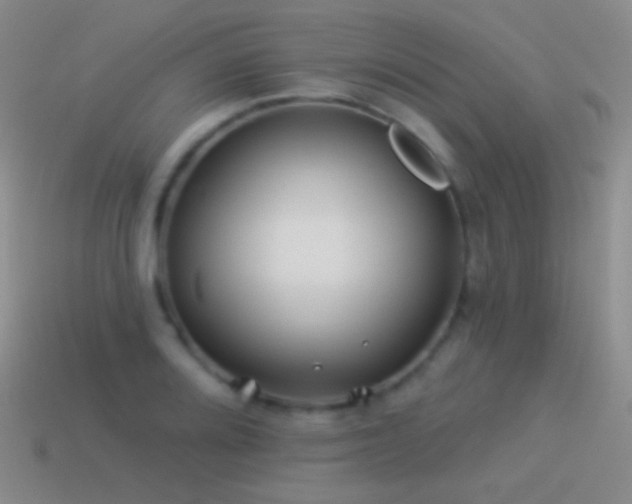 X0000114511080200910191128