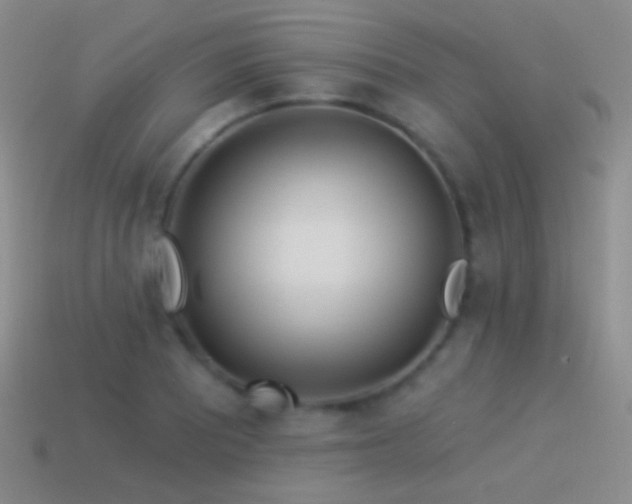 X0000114511081200910191128