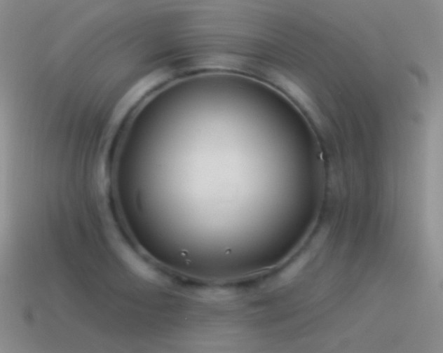 X0000114511082200910191128