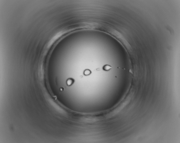 X0000114511083200910191127