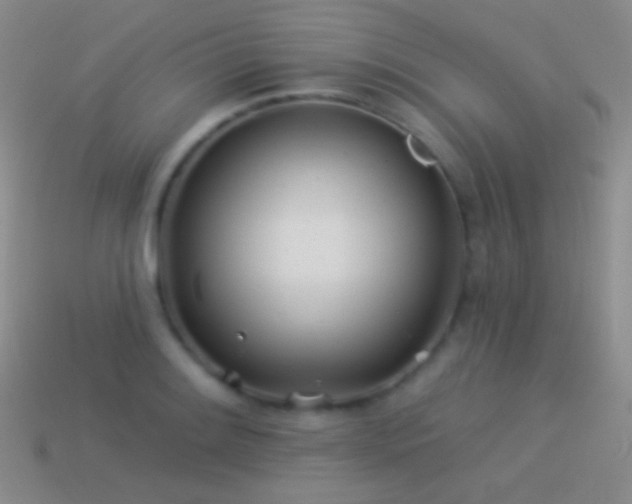 X0000114511084200910191127