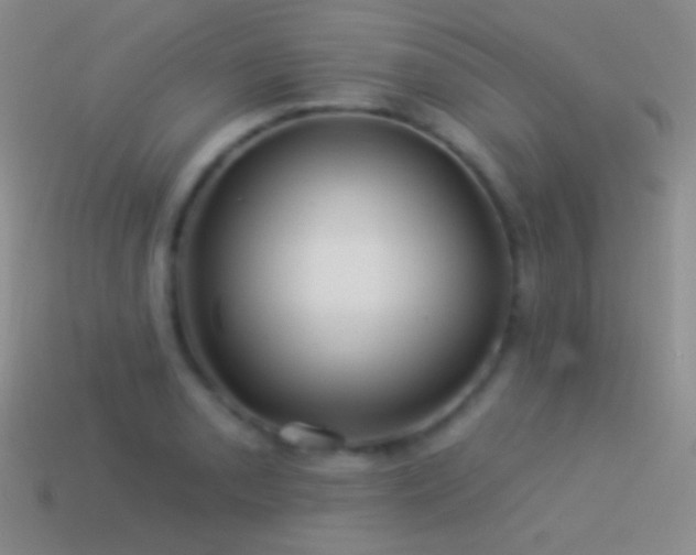 X0000114511085200910191127