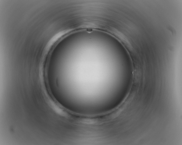 X0000114511086200910191127