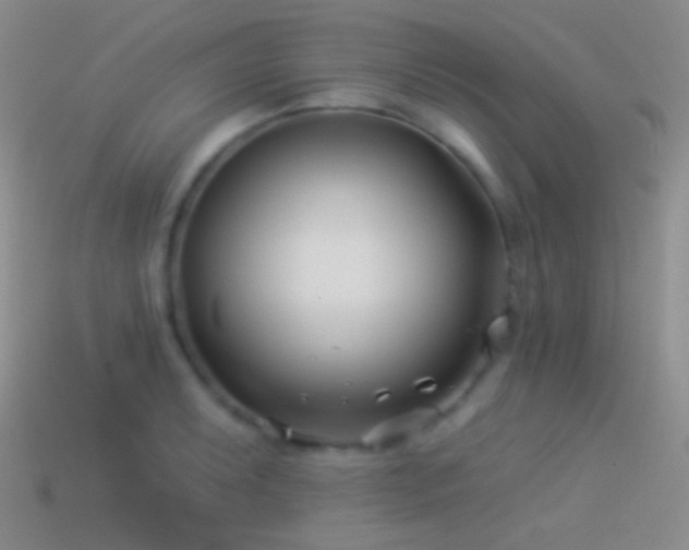 X0000114511087200910191127