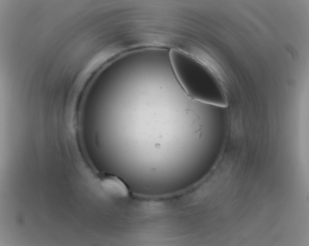 X0000114511088200910191127