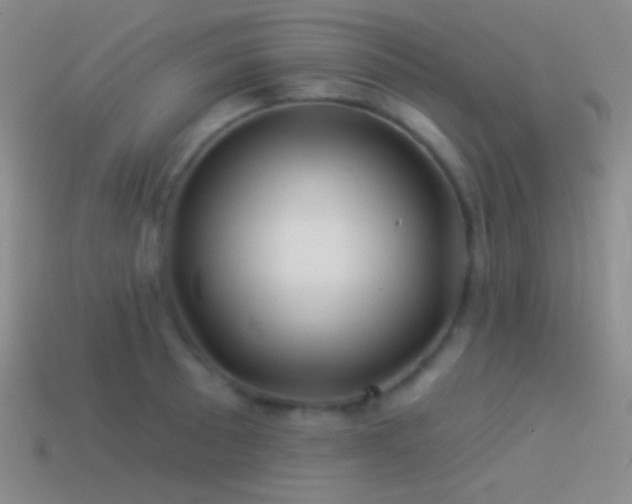 X0000114511089200910191127
