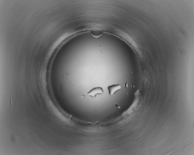 X0000114511091200910191127