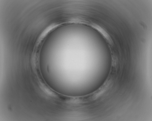 X0000114511094200910191127