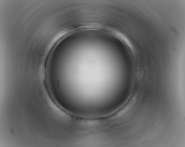 X0000114511095200910191127
