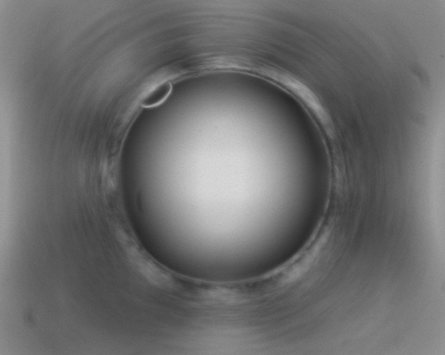X0000114511097200910191127