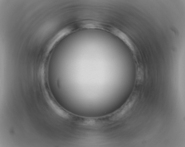 X0000114511098200910191127