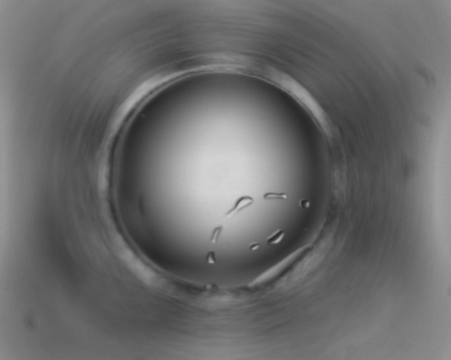 X0000114511099200910191127