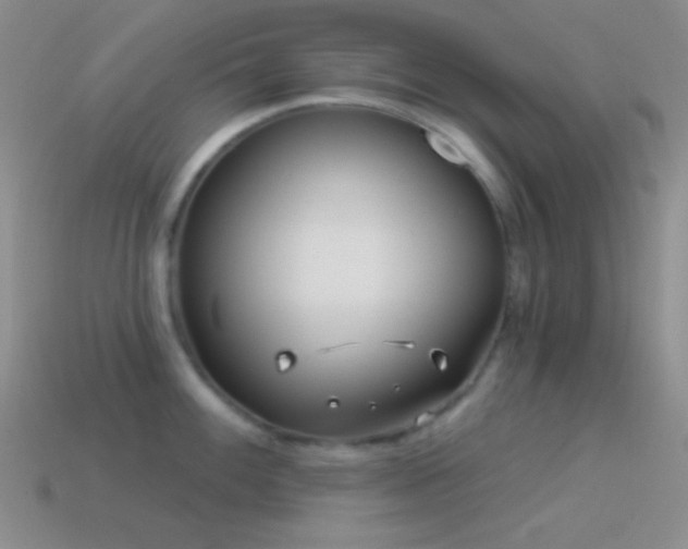 X0000114511100200910191127