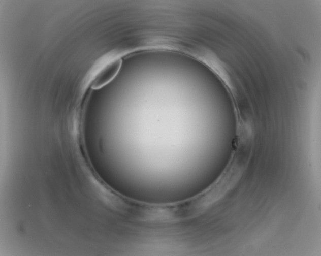 X0000114511101200910191127