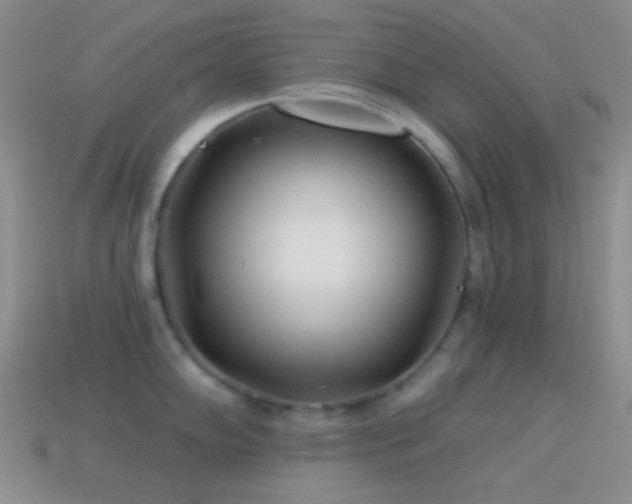 X0000114511102200910191127